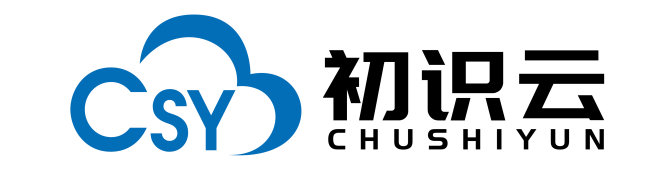 初识云-V10 Logo